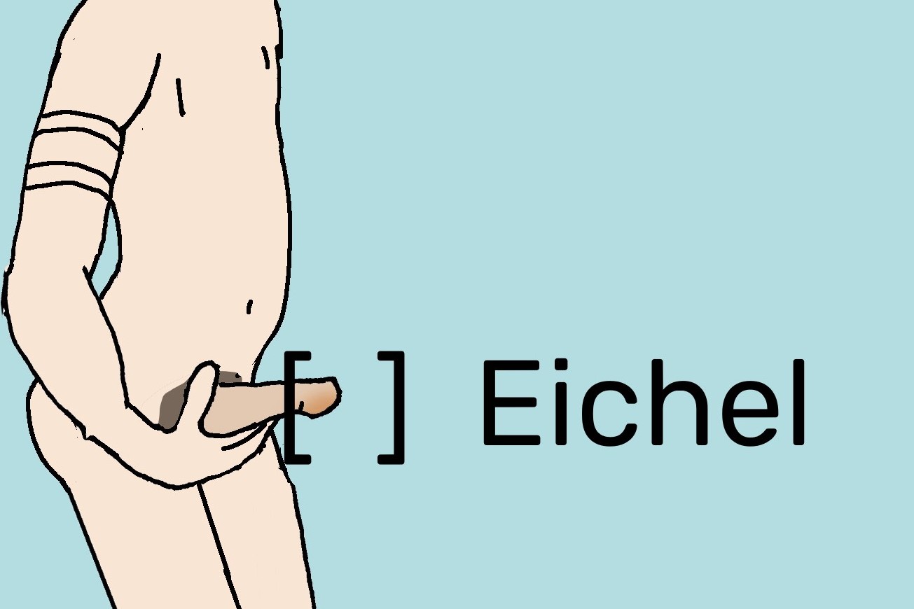 Ein Ausschnitt von einem nackten Mann, der seinen steifen Penis in der Hand hält. Der vordere Teil des Penis ist mit "Eichel" beschriftet.