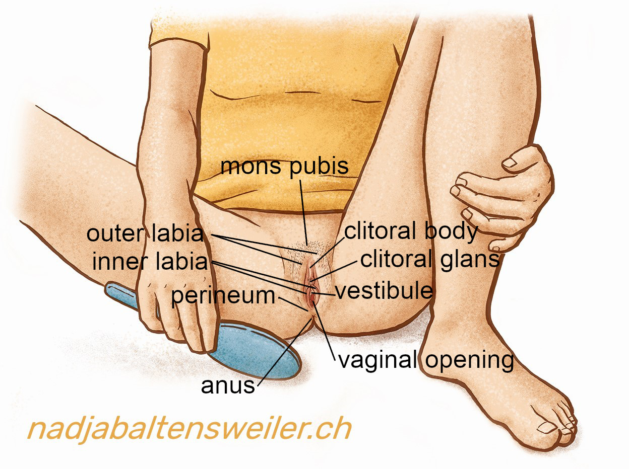 You see a person with a vulva, wearing a T-shirt and no underpants. They are sitting on the floor, with their legs bent and looking at their vulva with a hand mirror. Labeled are the mons pubis, the clitoral body and the clitoral glans, the outer and inner labia, the vestibule and the vaginal opening, the perineum, and the anus.