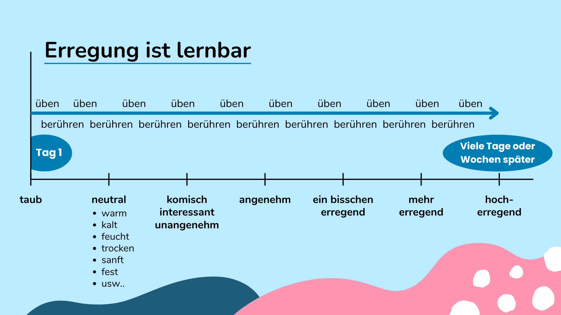 Grafik mit dem Titel "Erregung ist lernbar". Sie zeigt einen Zeitstrahl, der von "Tag 1" bis "viele Tage oder Wochen später" reicht. Entlang des Zeitstrahls verläuft ein Pfeil, der mehrfach mit den Begriffen "üben" und "berühren" beschriftet ist. Darunter sind Stufen aufgelistet, die von "taub" über "neutral" (mit Attributen wie warm, kalt, feucht, trocken, sanft, fest) und "komisch", "interessant", "unangenehm", bis hin zu "angenehm", "ein bisschen erregend", "mehr erregend" und schließlich "hoch erregend" reichen. Die Grafik zeigt, dass sexuelle Erregung durch wiederholtes Üben und Berühren immer intensiver spürbar werden kann.